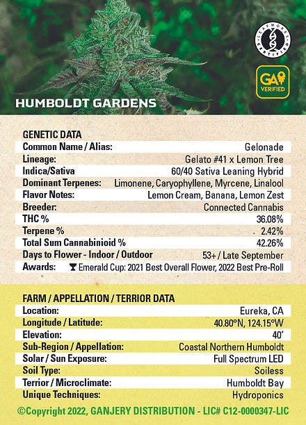 Fresh Strain - FRESH STRAIN - GELONADE - FLOWER - 5G - 1