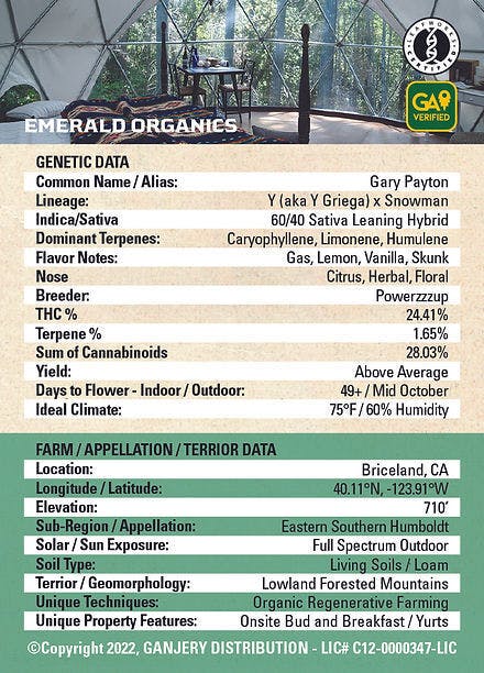 Fresh Strain - FRESH STRAIN - GARY PAYTON - FLOWER - 3.5G - 1