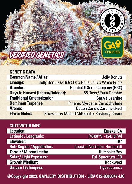 Fresh Strain - FRESH STRAIN - JELLY DONUTZ - FLOWER - 3.5G - 1