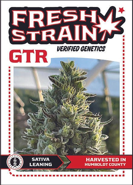 Fresh Strain - FRESH STRAIN - GTR - PREROLL - BLUNT - 2G - 1