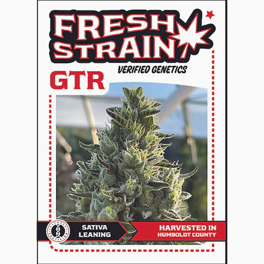 Fresh Strain - FRESH STRAIN - GTR - PREROLL - BLUNT - 2G - 1