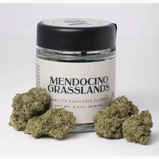 Mendocino Grasslands - Mendocino Grasslands | Grapefruit Chem | Flower 4.2g Jar - 1