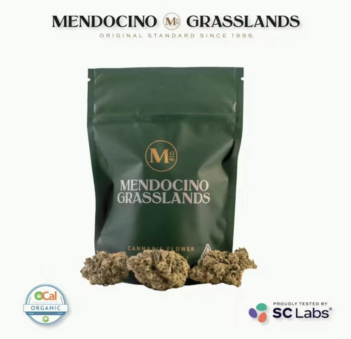 Mendocino Grasslands - Mendocino Grasslands | Gov't Oasis | Flower 3.5g Bag - 1