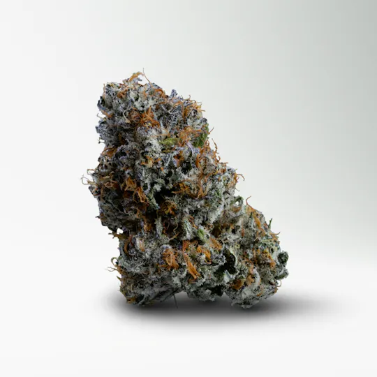 Wood Wide - Wood Wide | Planetary Charms | Big Buds | 1g - 1