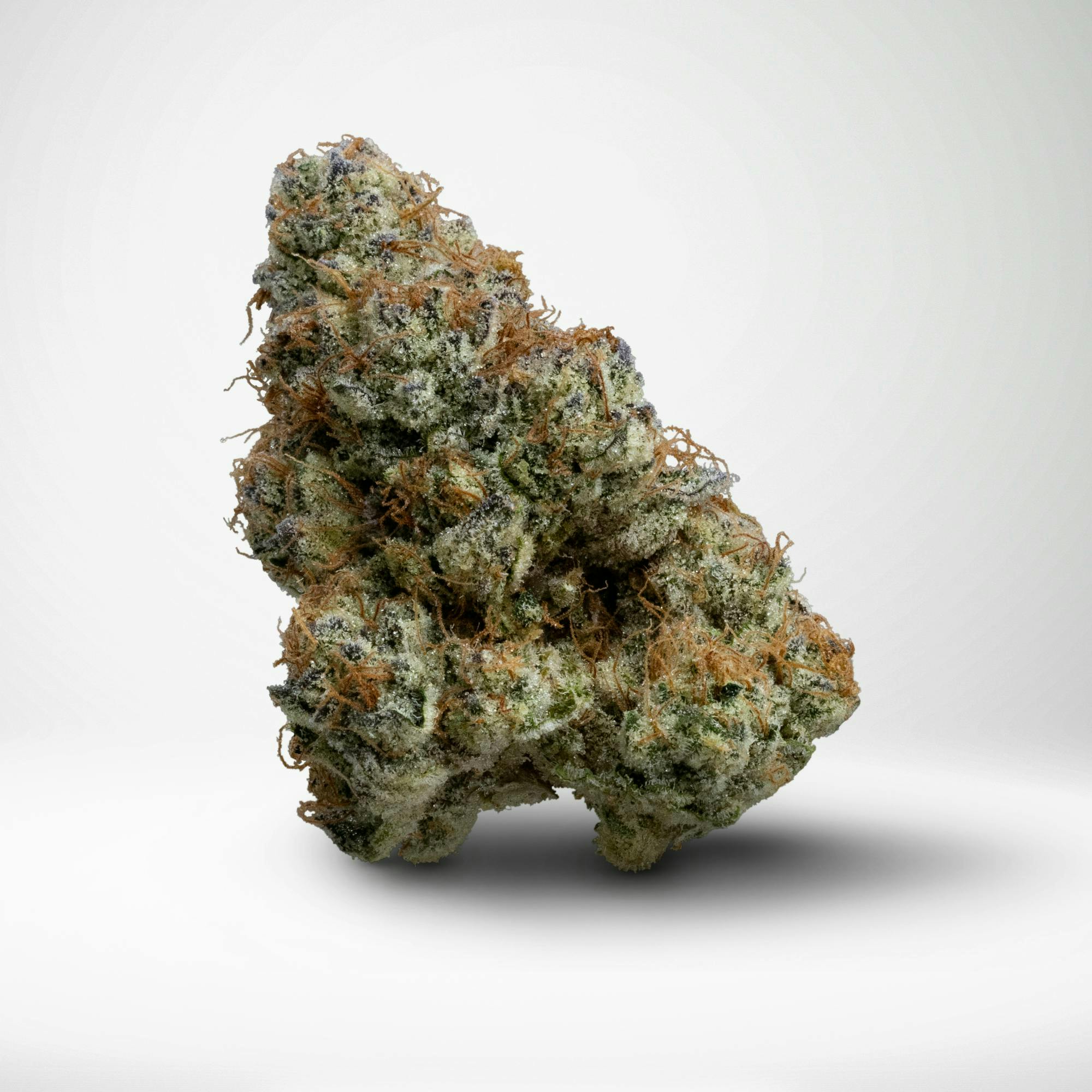 Wood Wide - Wood Wide | PleaZure | Big Buds | 1g - 1