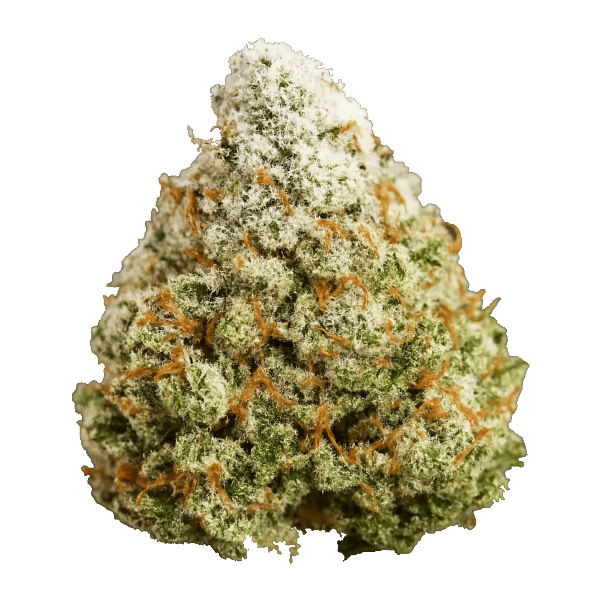 Sherbinskis - Sherbinskis | Perm | Big Buds | 1g - 1