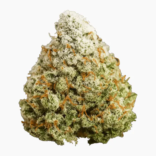 Sherbinskis - Sherbinskis | Perm | Big Buds | 1g - 1