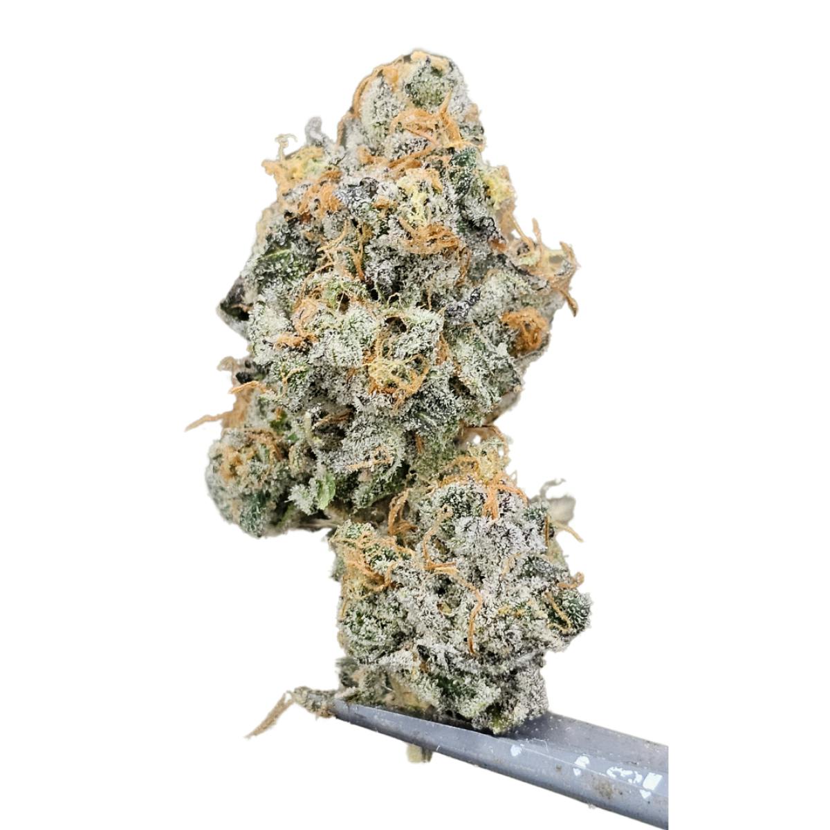 Tao Labs - Baked Banana A Bud Indoor Flower - 28g - 1