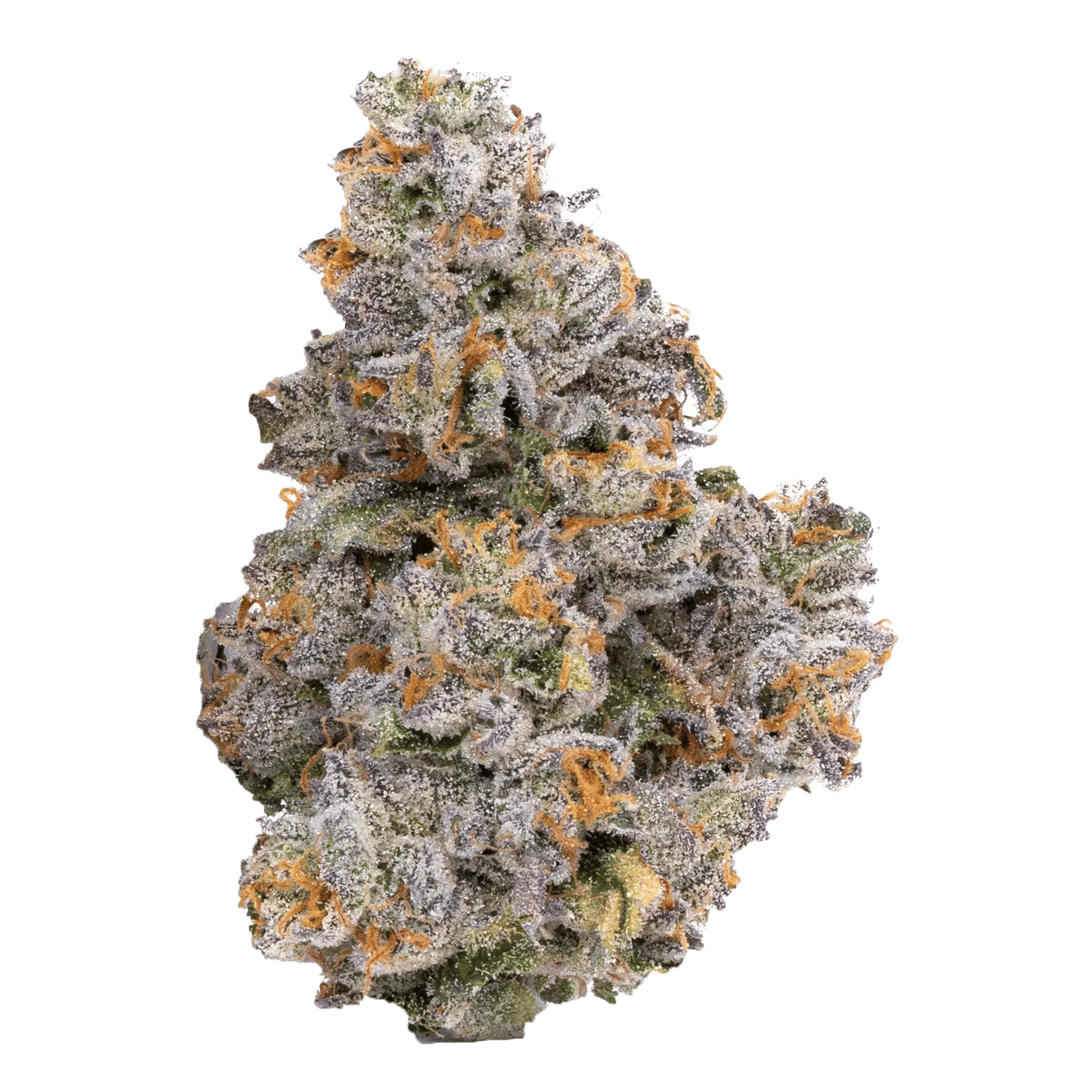 Alien Labs - Gemini | Indoor Flower | 7g - 1