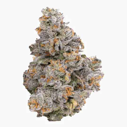 Alien Labs - Gemini | Indoor Flower | 7g - 1