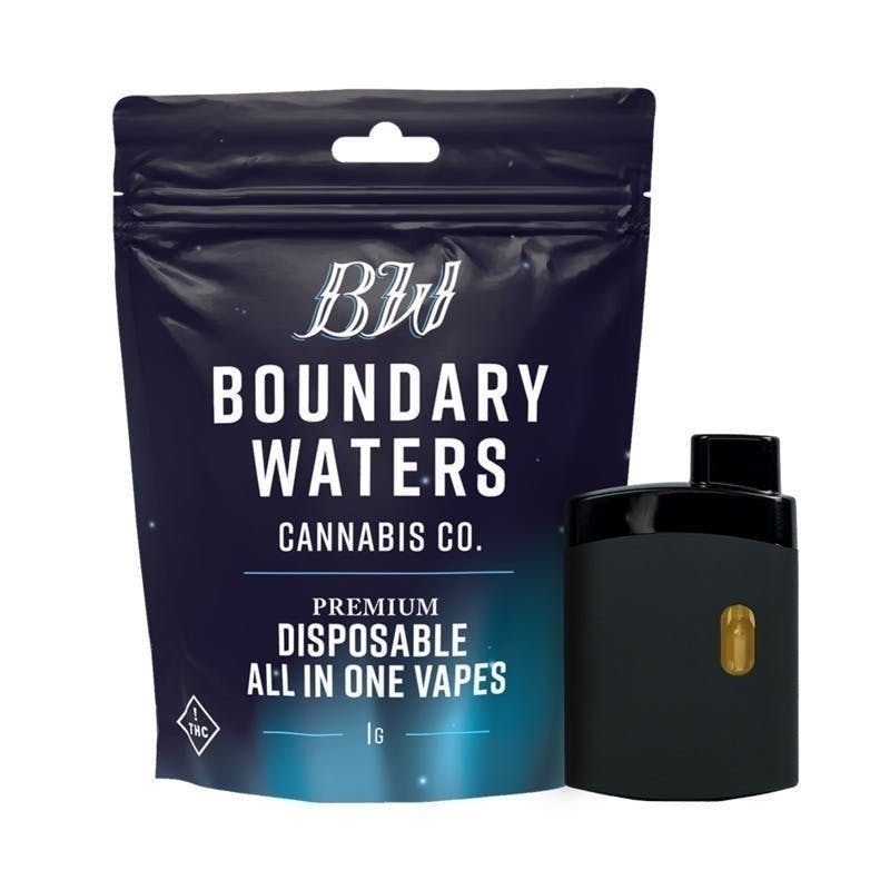 Boundary Waters - Mint Chip Ice Cream | Disposable | 1g - 1