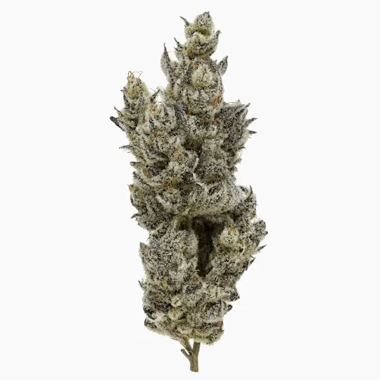 Fig Farms - Fig Farms | Holy Moly! | Smalls - 1
