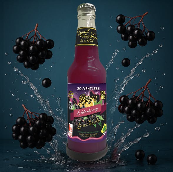 Ray's Lemonade - Ray's Lemonade | Solventless Elderberry | 100mg THC - 1