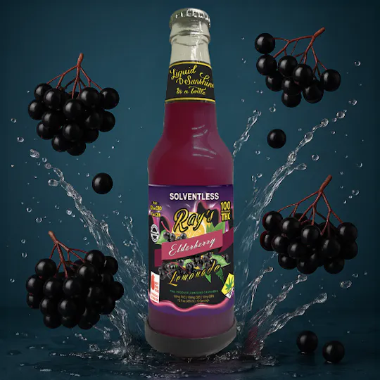 Ray's Lemonade - Ray's Lemonade | Solventless Elderberry | 100mg THC - 1