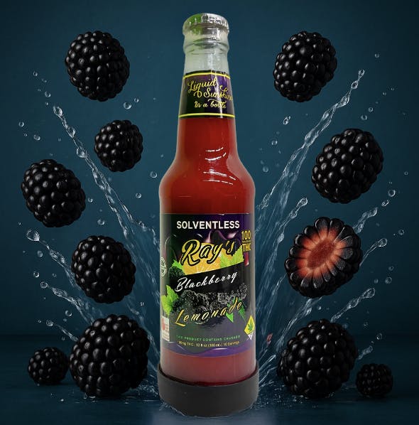 Ray's Lemonade - Ray's Lemonade | Solventess Blackberry | 100mg THC - 1