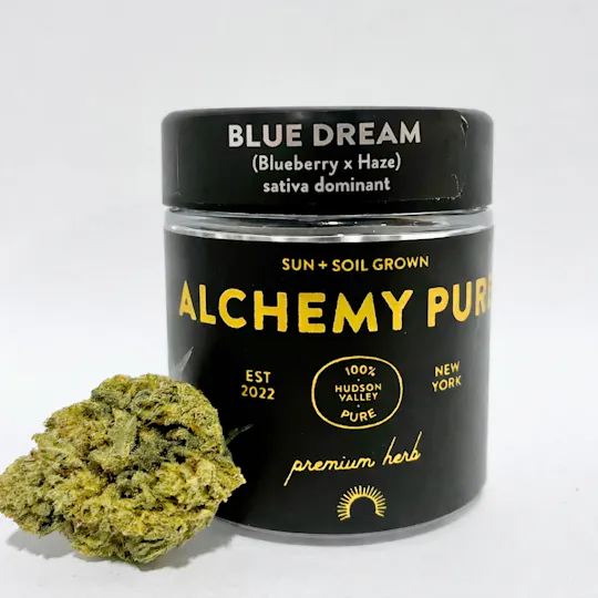 Alchemy Pure - Blue Dream 3.5g Jar - 1