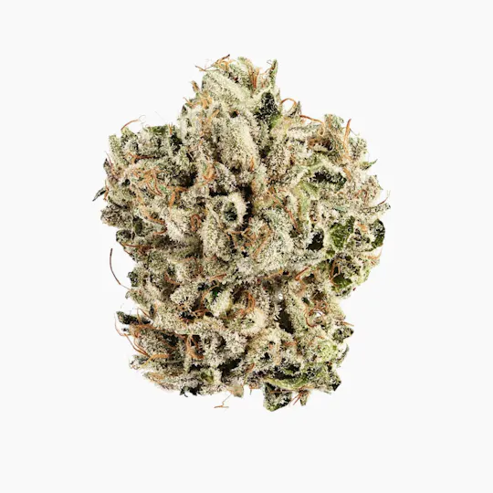 Team Elite Genetics - Pre-98 Bubba Kush | Big Buds | 3.5g - 1