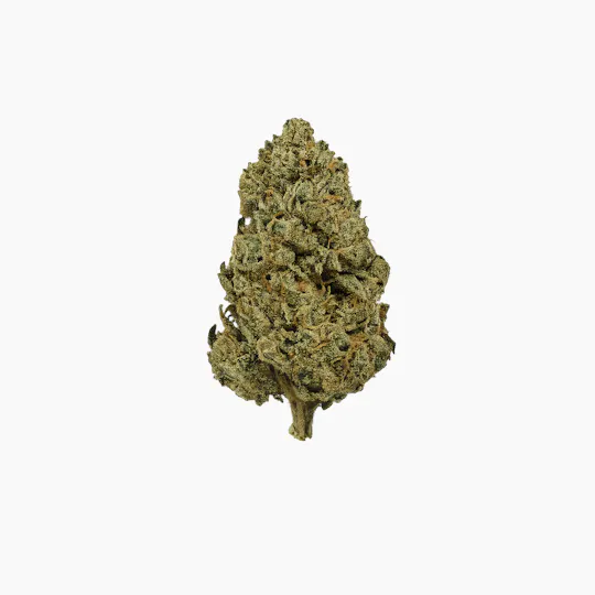 Magic Brothers - Cereal Milk (Hybrid) - Premium Flower - 1oz. 28g. - 1