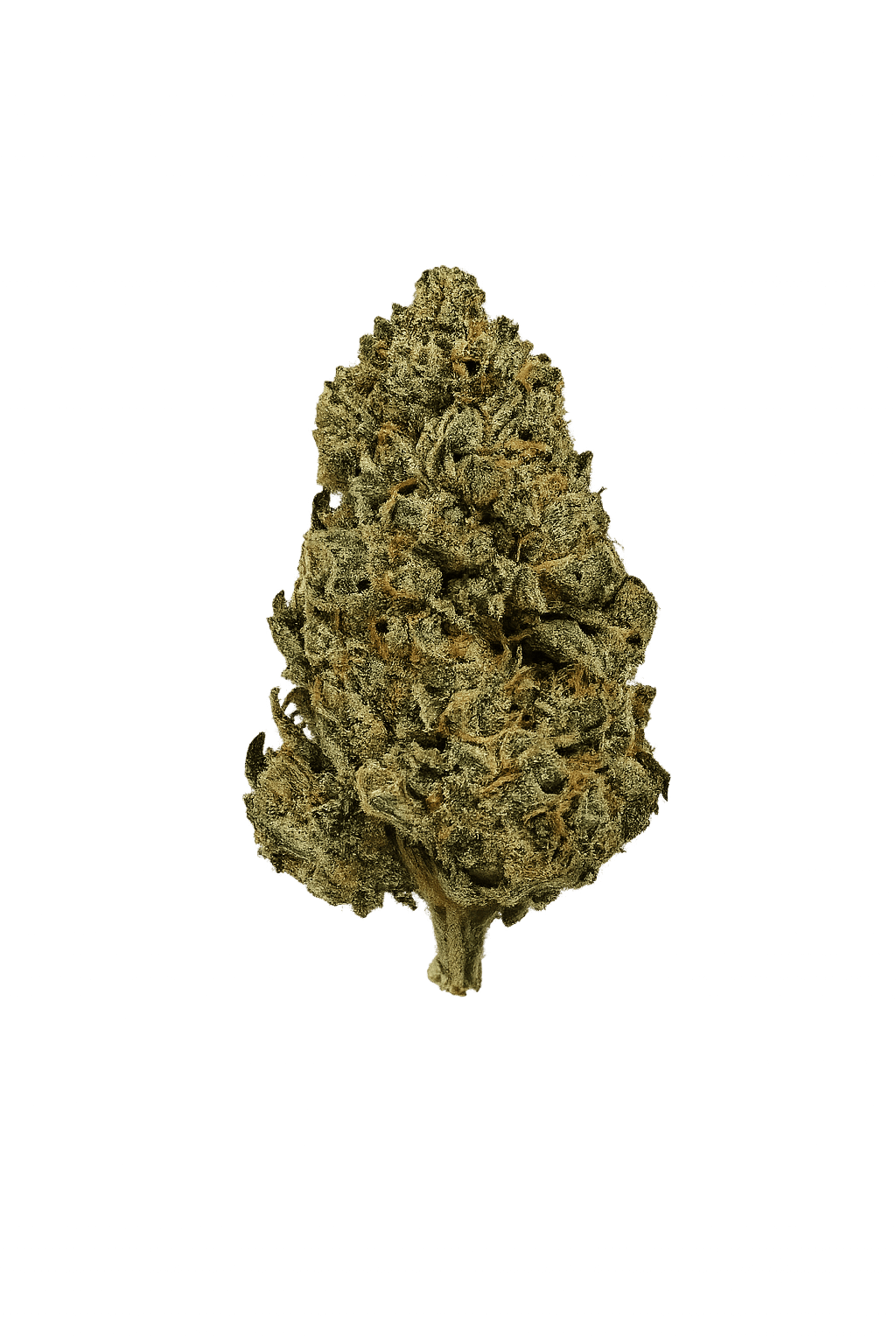 Magic Brothers - Cereal Milk (Hybrid) - Premium Flower - 1/2oz. 14g. - 1
