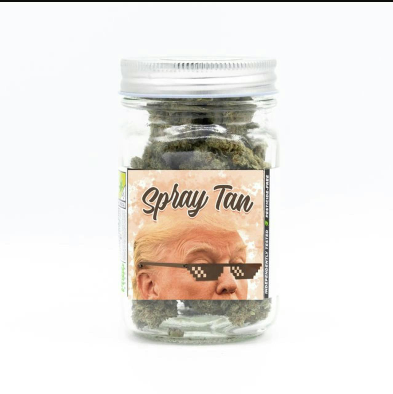 Phat Panda - Phat Panda | Spray Tan | Big Buds | 3.5g - 1