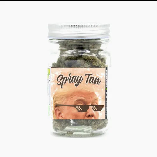 Phat Panda - Phat Panda | Spray Tan | Big Buds | 3.5g - 1