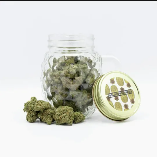 Phat Panda - Golden Pineapple | Big Buds | 3.5g - 1