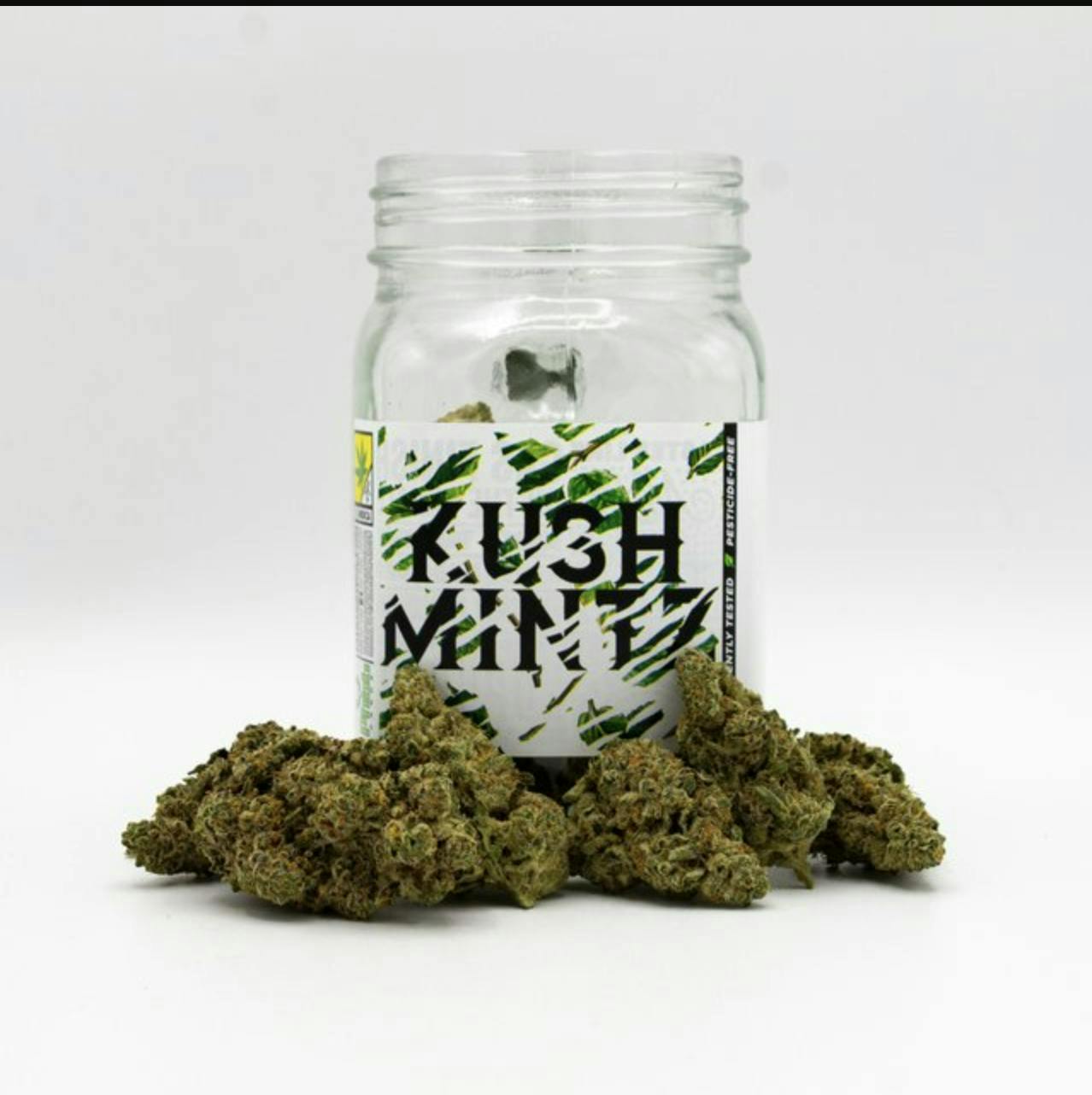 Phat Panda - Phat Panda Platinum | Kush Mintz | Big Buds | 3.5g - 1