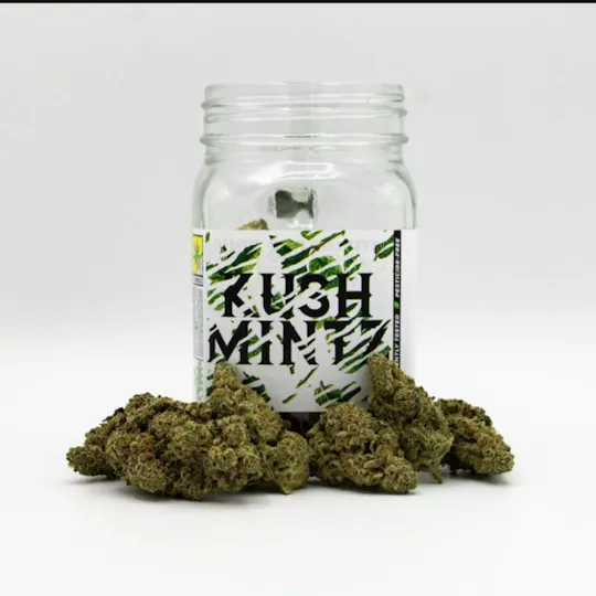 Phat Panda - Phat Panda Platinum | Kush Mintz | Big Buds | 3.5g - 1