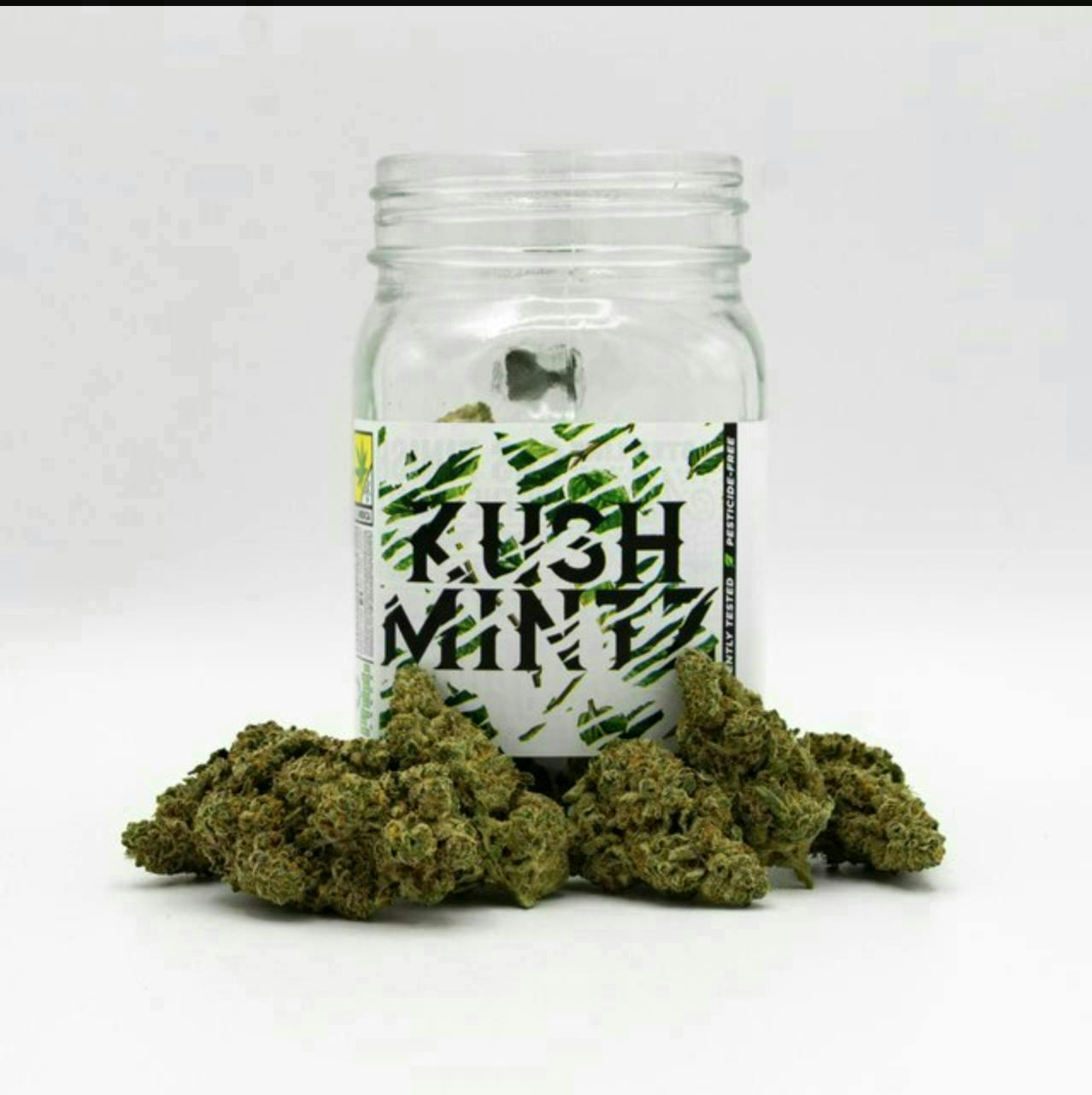 Phat Panda - Platinum | Kush Mintz | Big Buds | 3.5g - 1