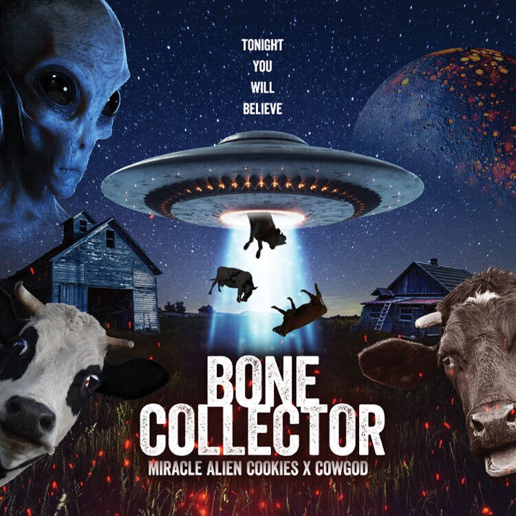 Phat Panda - Phat Panda | Bone Collector | Big Buds | 3.5g - 1