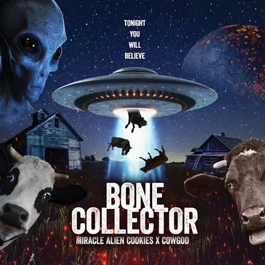 Phat Panda - Phat Panda | Bone Collector | Big Buds | 3.5g - 1