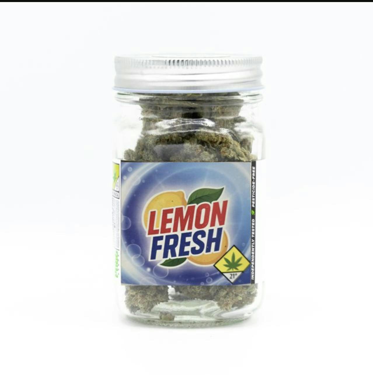 Phat Panda - Phat Panda | Lemon Fresh | Big Buds | 3.5g - 1