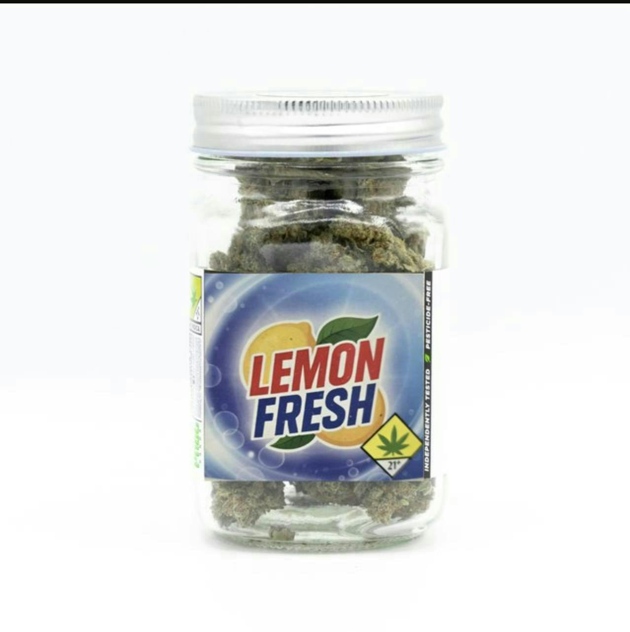 Phat Panda - Lemon Fresh | Big Buds | 3.5g - 1