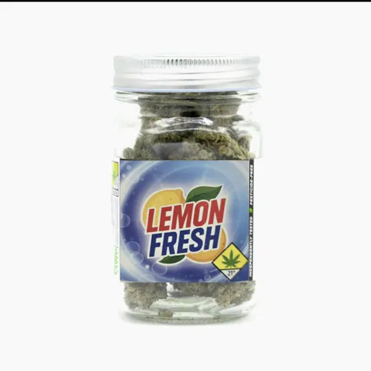 Phat Panda - Lemon Fresh | Big Buds | 3.5g - 1