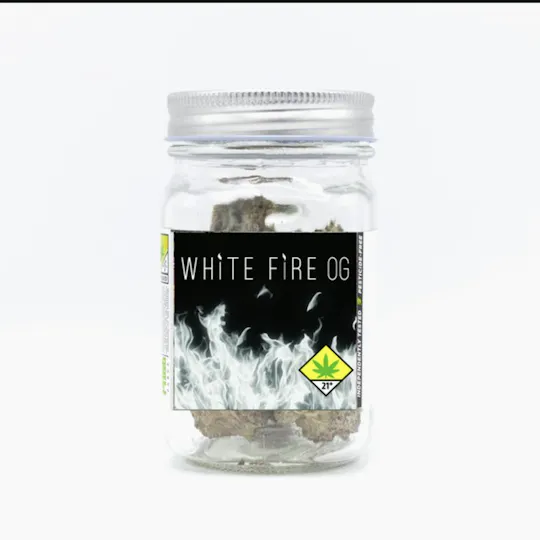 Phat Panda - Phat Panda | White Fire OG | Big Buds | 3.5g - 1