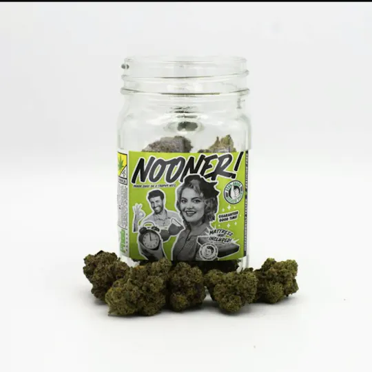Phat Panda - Phat Panda | Nooner | Big Buds | 3.5g - 1