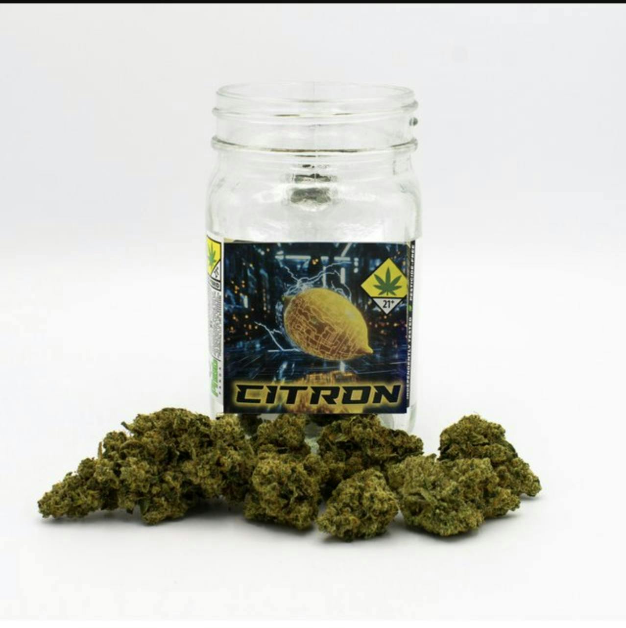 Phat Panda - Phat Panda | Citron | Big Buds | 3.5g - 1