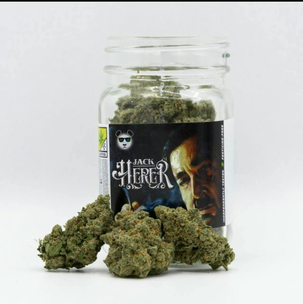 Phat Panda - Phat Panda | Jack Herer | Big Buds | 3.5g - 1