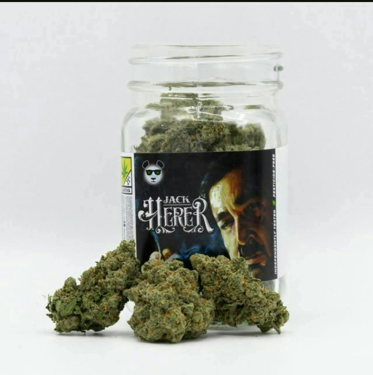 Phat Panda - Jack Herer | Big Buds | 3.5g - 1