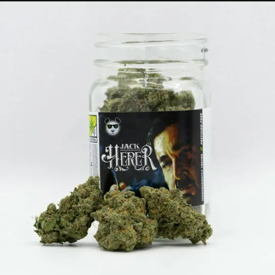 Phat Panda - Jack Herer | Big Buds | 3.5g - 1