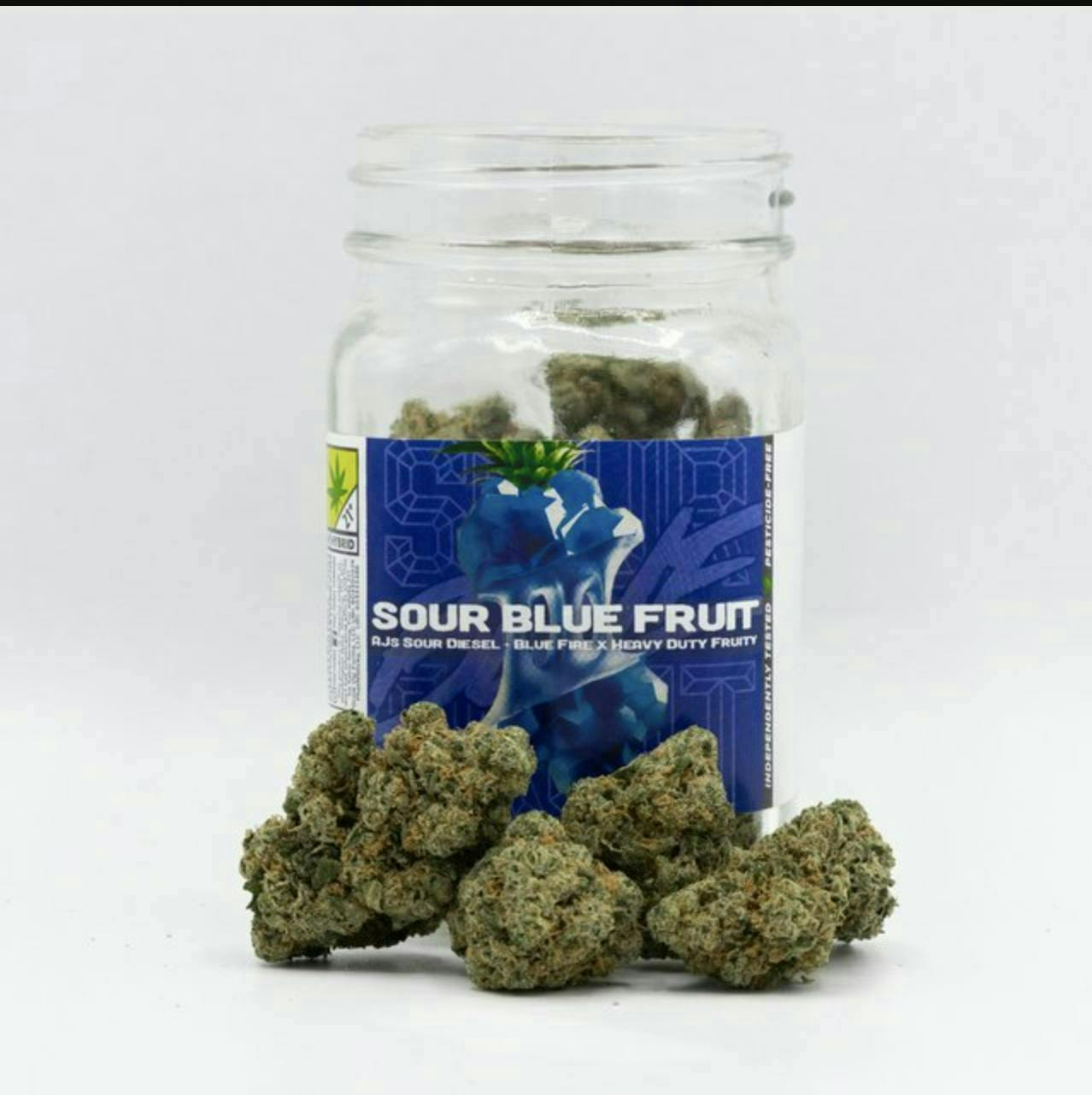 Phat Panda - Sour Blue Fruit | Big Buds | 3.5g - 1