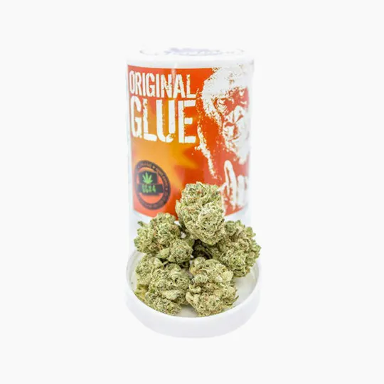 Phat Panda - Phat Panda Platinum | Original Glue | Big Buds | 3.5g - 1