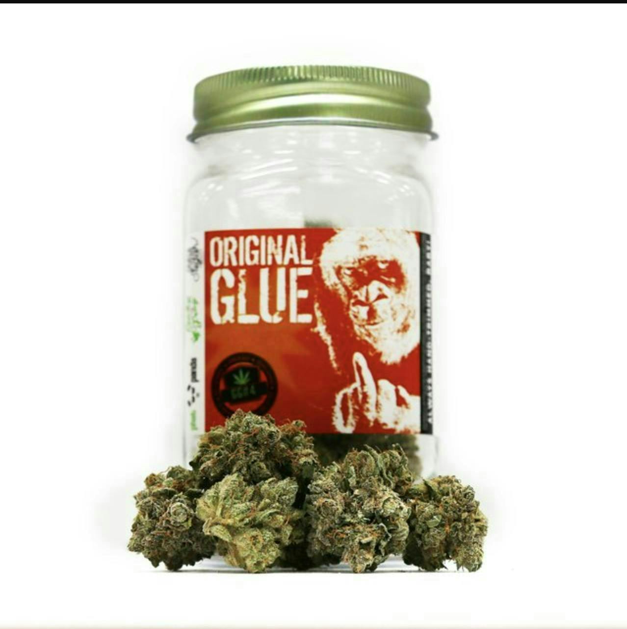 Phat Panda - Platinum | Original Glue | Big Buds | 3.5g - 1