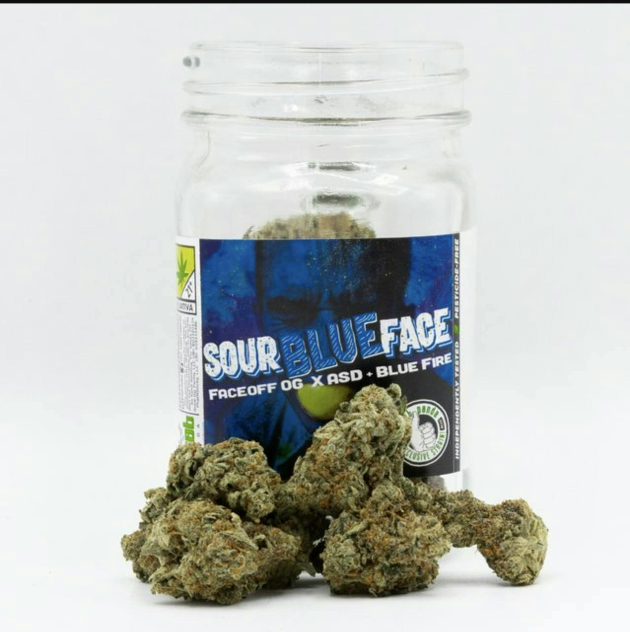 Phat Panda - Phat Panda | Sour Blue Face | Big Buds | 3.5g - 1