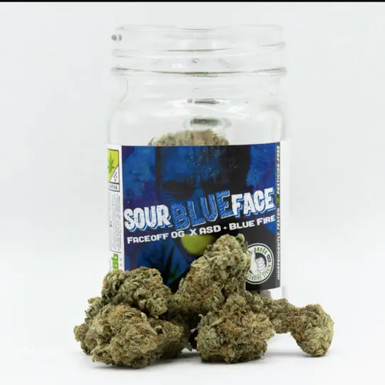 Phat Panda - Phat Panda | Sour Blue Face | Big Buds | 3.5g - 1