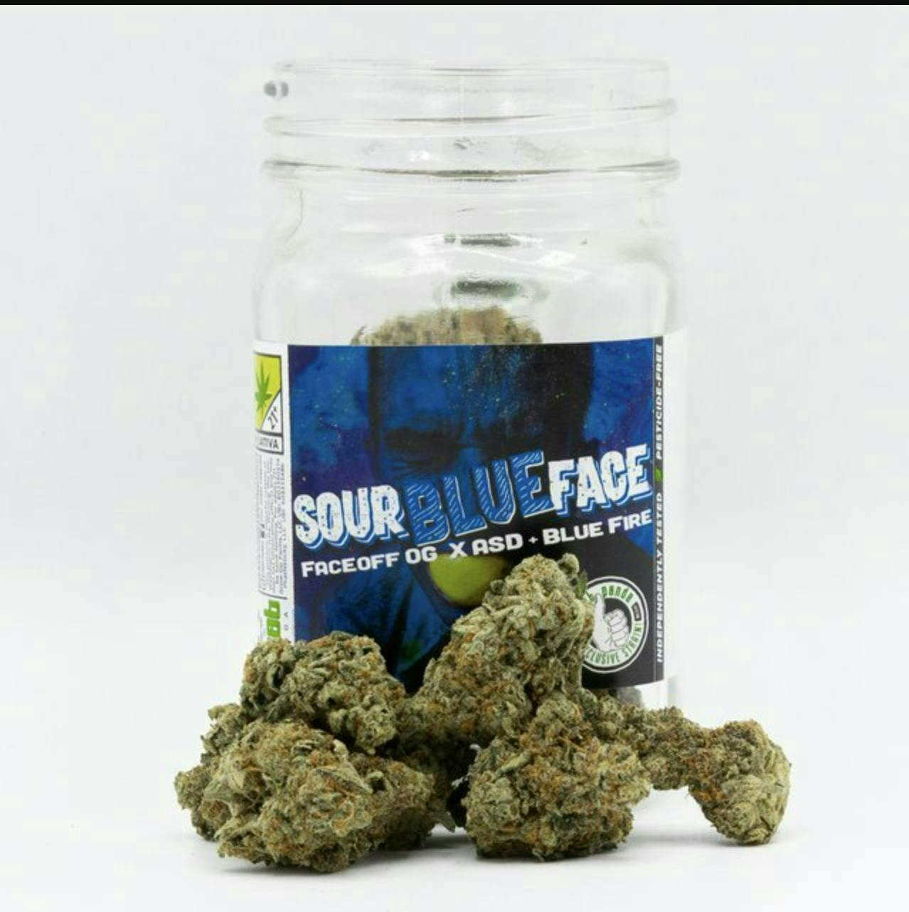 Phat Panda - Sour Blue Face | Big Buds | 3.5g - 1