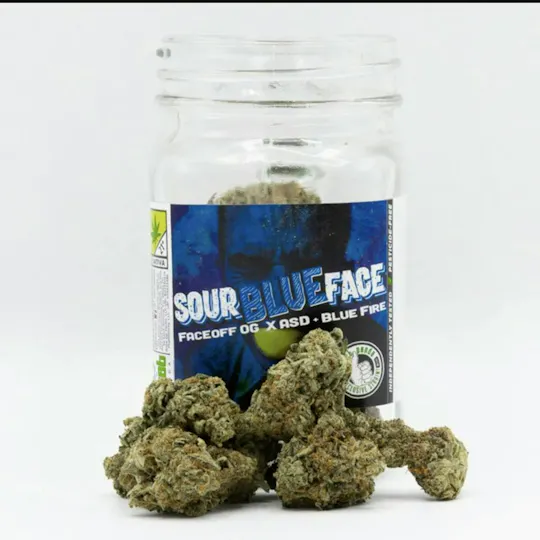 Phat Panda - Sour Blue Face | Big Buds | 3.5g - 1