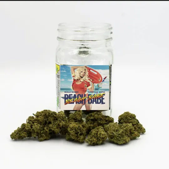 Phat Panda - Phat Panda Platinum | Beach Babe | Big Buds | 3.5g - 1