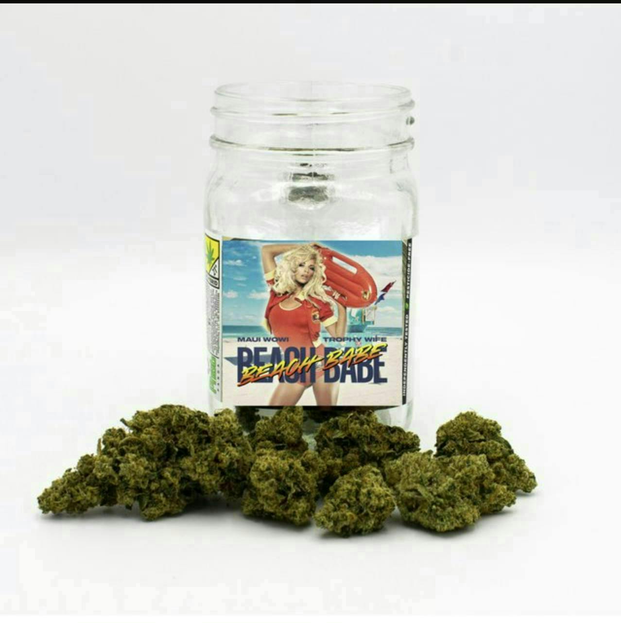 Phat Panda - Platinum | Beach Babe | Big Buds | 3.5g - 1