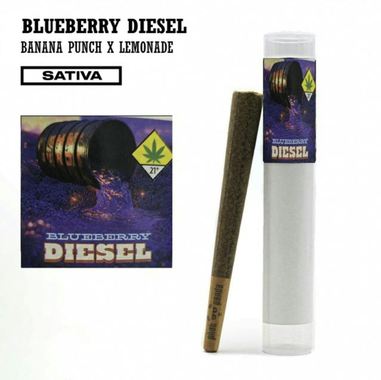 Phat Panda - Phat Panda | Blueberry Diesel | Joint | 1g - 1